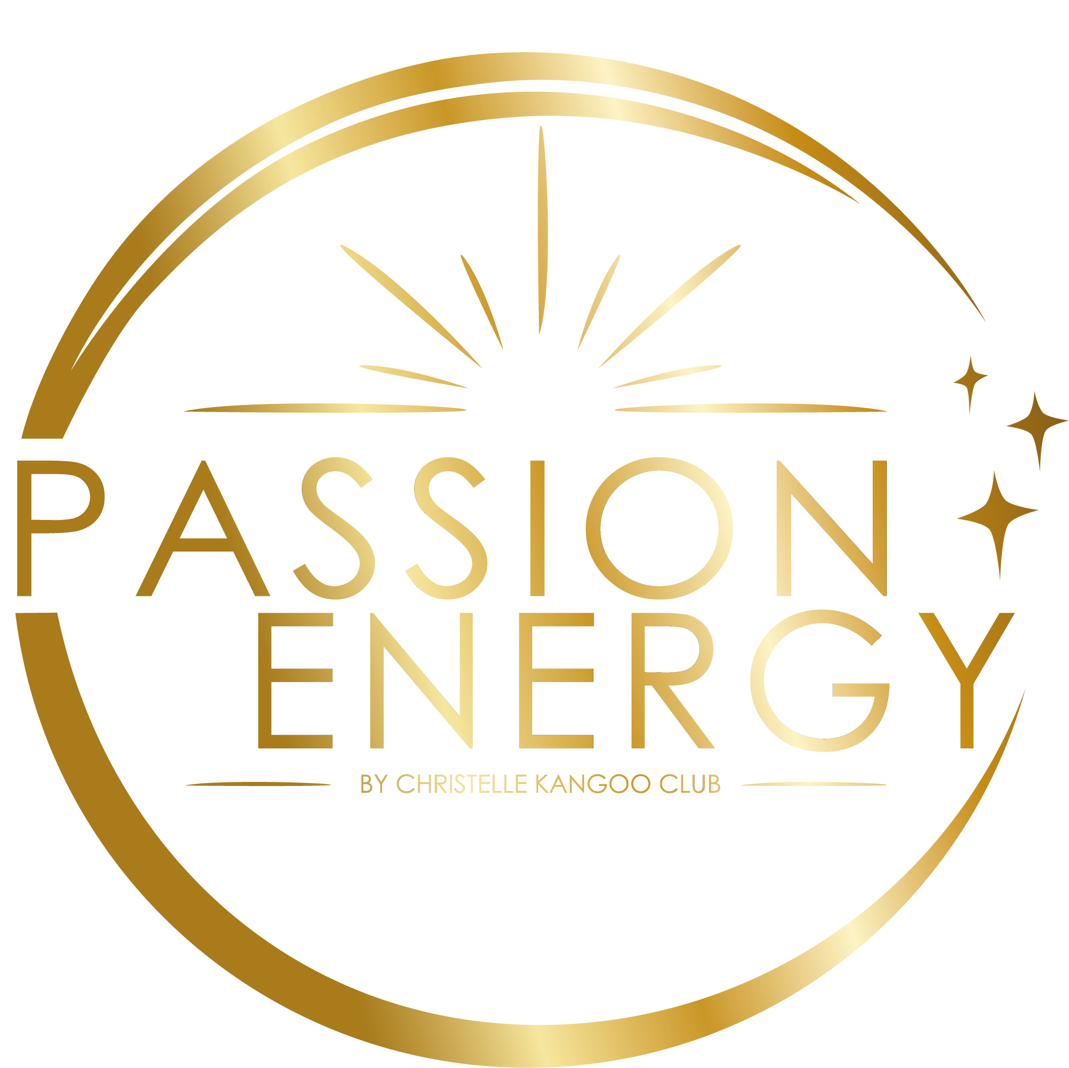 Logo Passion pour votre énergie